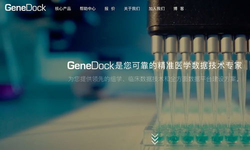 精准医学数据技术服务商genedock完成5000万元b轮融资,晨兴资本领投